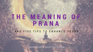 The meaning of prana